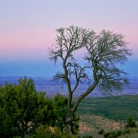 Grand Canyon National Park :: Ольга Маркова