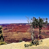 Grand Canyon National Park :: Ольга Маркова