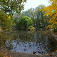 Осеннее озеро :: Sergey Sergeev