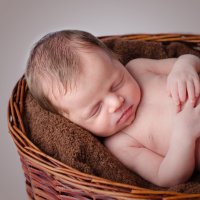 Фотография новорожденных :: Надежда Боровая