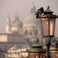 Утро в Венеции :: Наталья Немчинова