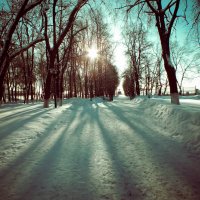 Зимнее утро в парке :: Дарья Яковлева
