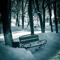 Зимняя пора...пустуют скамейки... :: Дарья Яковлева
