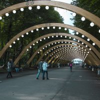 В осеннем парке :: Андрей Шаронов