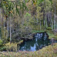 Таёжное озерцо. :: Наталья Юрова