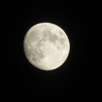 Луна :: Davit Petoyan