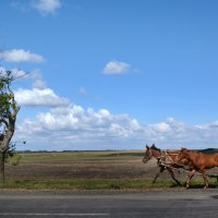 Дорога... :: Олег Куцкий