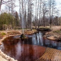 Гейзер :: Дарья Яковлева