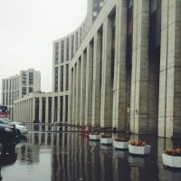 Дождливая столица... :: Вероника Швец