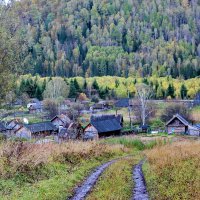 В окружении тайги. :: Наталья Юрова