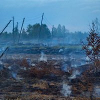 электричества не будет :: Ольга Грязных