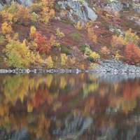 Палитра осени :: Юлия Володина