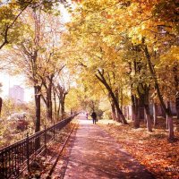 gold autumn :: Сергей 