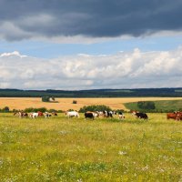 Дождь приближается :: Татьяна Соловьева