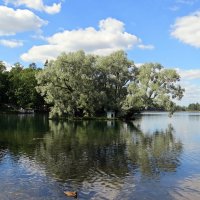 Озеро в Гатчинском парке :: Вера Щукина
