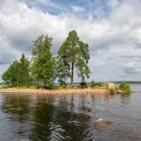 Северное лето :: Олег Пученков