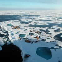 Жизнь в Арктике. :: игорь кио 