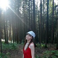 Замечательный лес :: Светлана Громова