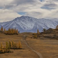 Северо-Чуйский хребет :: Виктор Четошников