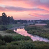 ** :: Елизавета .