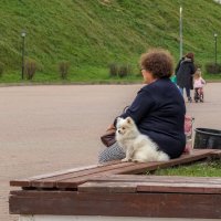 А этот вроде ничего. :: Анатолий. Chesnavik.