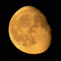 луна.. :: леонид логинов