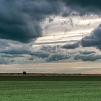 После грозы :: Виктор Желенговский