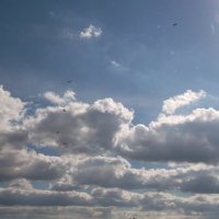 Пейзаж с облаками... :: Анна Владимировна