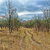 осенний пейзаж :: юрий иванов 