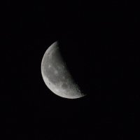 Луна :: Юлия Курдова