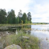 ОСЕНЬ В КАРЕЛИИ :: Николай Гренков