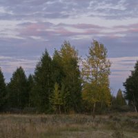 Отражение заката в облаках. :: сергей 