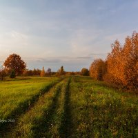 Осень :: Александр Синдерёв