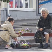 Не продали... :: Александр Тарноградский