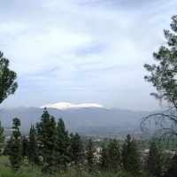 В горах Нафтали :: Гала 