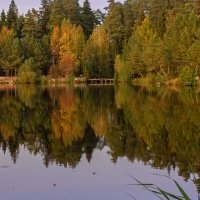 Осенний пейзаж у лесного озера :: Владимир Ефимов
