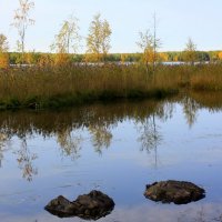 Сентябрь в Карелии :: Николай Гренков