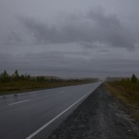 Туманным утром на дороге :: Ilya Yurukin