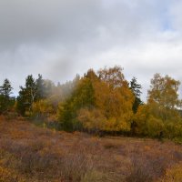 осенний дождик сентября... :: Андрей Хлопонин