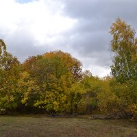 Любимая пора...Очарование лесом... :: Андрей Хлопонин