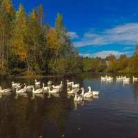 Осенние :: юрий поляков