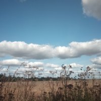 Облака гуляли в поле. :: Серж Поветкин