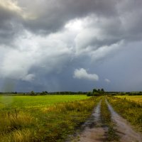 ..Местами дождь :: оксана 