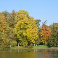 Царское Село. Екатерининский парк. :: Николай 