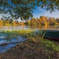 Осень на реке Дубне. :: Виктор Евстратов