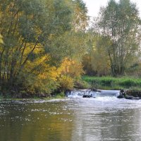 Плотина на реке Плетёнка :: Александр Буянов