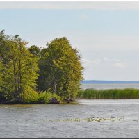 ВОЛГА. Лето.Остров. :: Юрий Ефимов