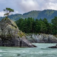 Катунь. Скалы Зубы Дракона :: Виктор Четошников