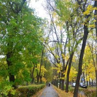 Осень как осень: ветрит, дождит, листопадит... :: Владимир Павлов
