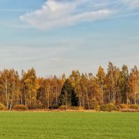 Осенняя картинка. :: Анатолий. Chesnavik.